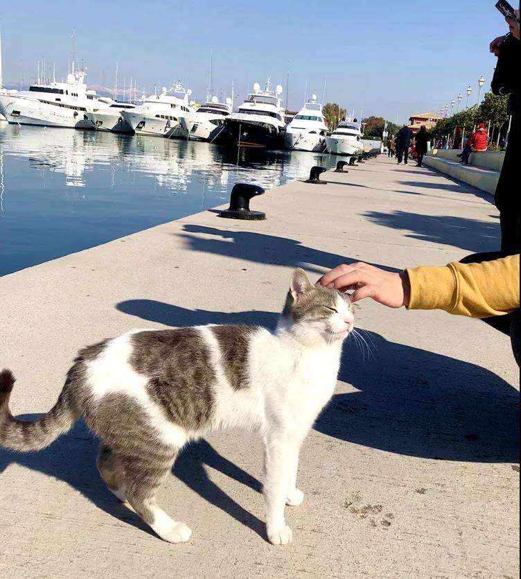 有家海外,希腊雅典民宿,希腊民宿旅游