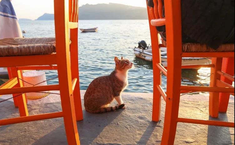 有家海外,希腊雅典民宿,希腊民宿旅游