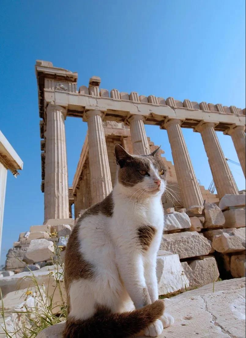 有家海外,希腊雅典民宿,希腊民宿旅游