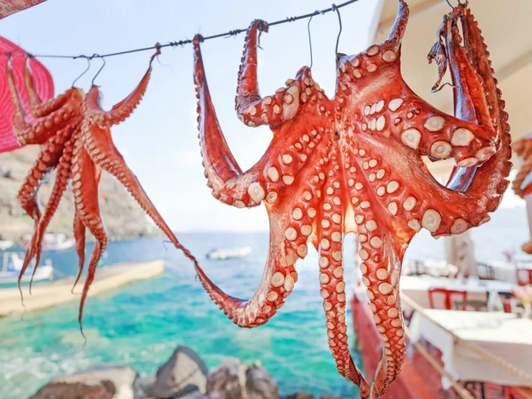 uoohome,希腊民宿,希腊旅游,希腊美食